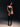 Cymothoe Black corset top
