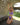 Titaniya Violet bikini top - yesUndress