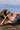 Amelia holographic black python swimsuit - yesUndress